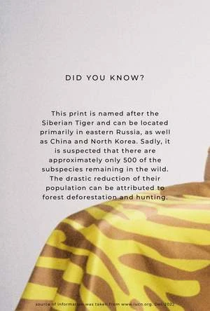 Silk LaundryLong Bias Cut Skirt - Tiger Matisse - Image 4